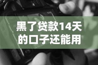 黑了贷款14天的口子还能用吗？真实测评+避坑指南