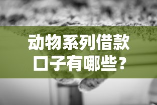 动物系列借款口子有哪些？这几个平台靠谱吗？实测分享！