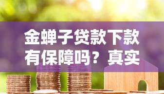 金蝉子贷款下款有保障吗？真实用户经历+风控细节全解析