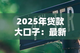 2025年贷款大口子：最新低息平台及避坑指南