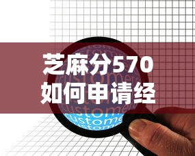 芝麻分570如何申请经营性贷款？攻略与平台推荐