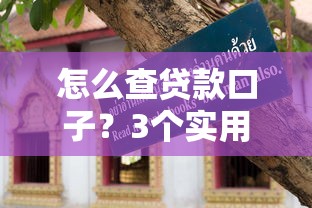 怎么查贷款口子？3个实用技巧+避坑指南