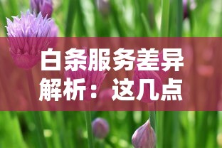 白条服务差异解析：这几点选错可能多花冤枉钱