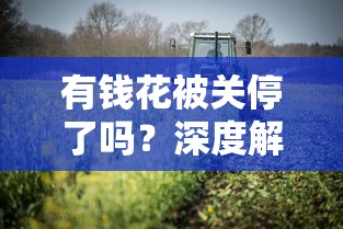 有钱花被关停了吗？深度解析现状+5个正规平台实测对比