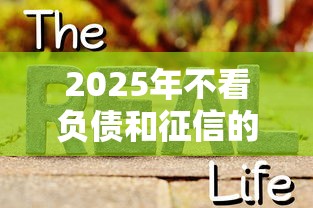 2025年不看负债和征信的口子有哪些？真实评测这5个渠道还能用