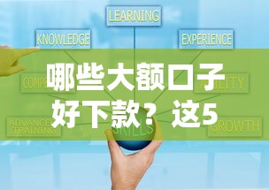 哪些大额口子好下款？这5家平台通过率高、额度灵活