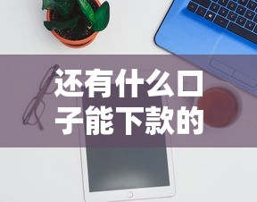 还有什么口子能下款的？实测推荐这几个靠谱渠道