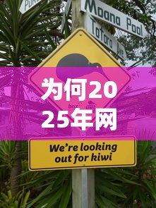为何2025年网贷不上征信？这几点变化你必须知道！