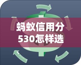 蚂蚁信用分530怎样选贷款期限？低分用户必看的3个技巧