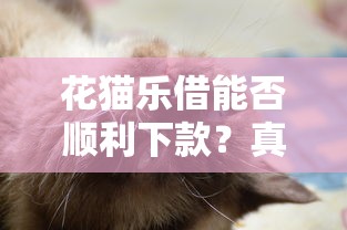 花猫乐借能否顺利下款？真实用户反馈+注意事项解析