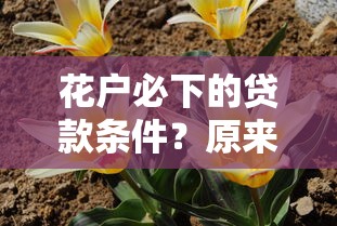 花户必下的贷款条件？原来要满足这几点才能轻松过审！