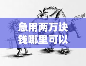 急用两万块钱哪里可以借？这几个渠道靠谱又省心