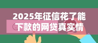 2025年征信花了能下款的网贷真实情况解析