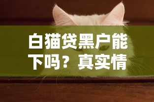 白猫贷黑户能下吗？真实情况拆解+替代方案实测