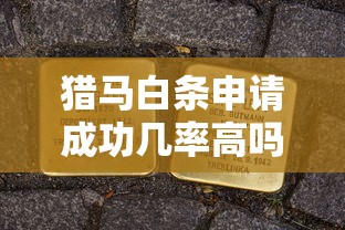 猎马白条申请成功几率高吗？实测通过率+避坑指南