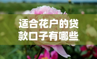 适合花户的贷款口子有哪些？这几个平台门槛低、审核快