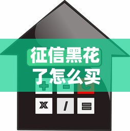 征信黑花了怎么买房？三步走流程+实用贷款攻略分享