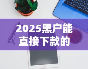 2025黑户能直接下款的平台有哪些？实测推荐这5个渠道