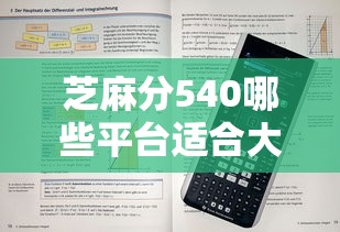 芝麻分540哪些平台适合大额消费借款？实测这5家通过率高