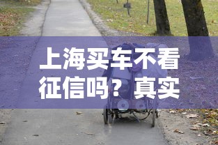上海买车不看征信吗?真实情况让人意外! 上海买车不看征信吗?真实情况让人意外!