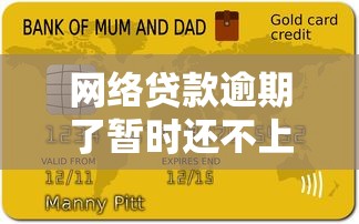 网络贷款逾期了暂时还不上怎么办？这5个方法或许能帮你缓解压力
