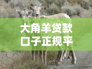 大角羊贷款口子正规平台怎么选？3个避坑技巧+靠谱推荐指南