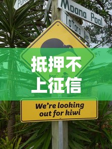 抵押不上征信会怎样？这三点风险你必须知道