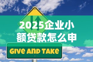 2025企业小额贷款怎么申请？最新政策解读与平台推荐
