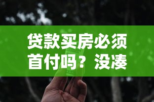 贷款买房必须首付吗？没凑够钱的人看完直拍大腿！