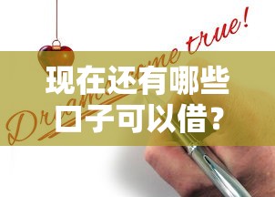现在还有哪些口子可以借？实测5个靠谱渠道申请攻略
