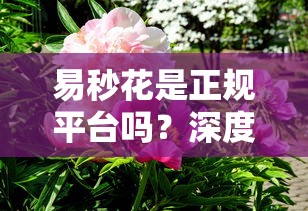 易秒花是正规平台吗？深度分析+避坑经验分享