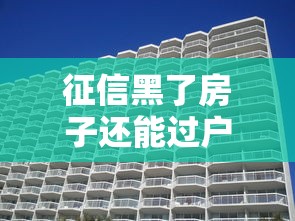 征信黑了房子还能过户吗？过户流程+解决方案全解析