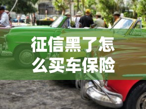 征信黑了怎么买车保险？这5招帮你轻松解决难题