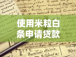 使用米粒白条申请贷款全流程解析：这些细节不注意可能被拒批