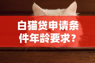 白猫贷申请条件年龄要求？这几个关键点必须知道！