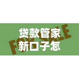 贷款管家新口子怎么选？这3个平台审批快、额度高！