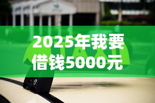 2025年我要借钱5000元：罗列5个不看欠款的贷款平台