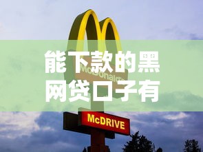 能下款的黑网贷口子有哪些？这几个平台审核快、放款稳