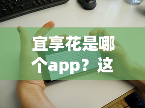 宜享花是哪个app？这3个功能让贷款更省心