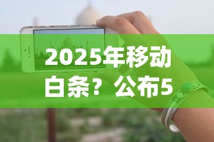 2025年移动白条？公布5个无视一切是人就下款app
