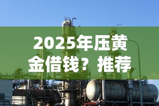 2025年压黄金借钱？推荐5个网贷保单贷最好的平台