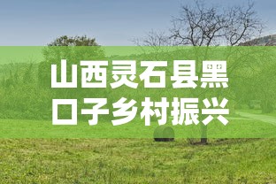 山西灵石县黑口子乡村振兴贷款政策助力村民致富