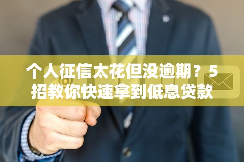 个人征信太花但没逾期？5招教你快速拿到低息贷款