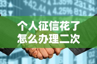 个人征信花了怎么办理二次抵押？这些补救方法值得收藏