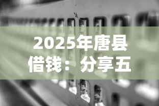 2025年唐县借钱：分享五个无视双黑能下的分期贷