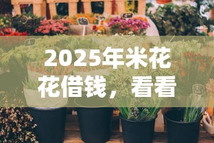 2025年米花花借钱，看看这五个贷款平台公司