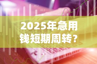 2025年急用钱短期周转？试试这五个贷款网络平台