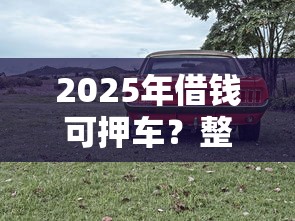 2025年借钱可押车？整合5个未成年借钱平台