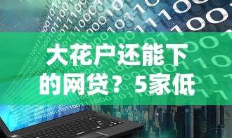 大花户还能下的网贷？5家低门槛平台亲测有效