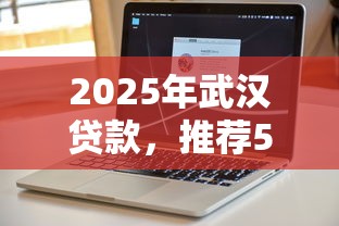 2025年武汉贷款，推荐5个可以不看征信就能下款的软件